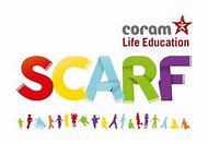 Image result for corum scarf pshe